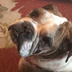 Meet your Posher, Sean